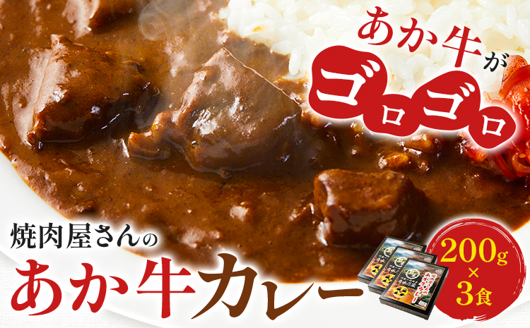 焼肉屋さんのあか牛カレー 600g (200g×3食) 白水乃蔵《30日以内に出荷予定(土日祝除く)》 あかうし 赤牛 あか牛 牛 カレー 南阿蘇村 肉---sms_fhakkr_30d_r7_14500_3p---