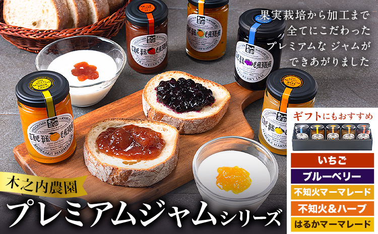阿蘇 木之内農園 プレミアムシリーズ 5本セット 1本 150g×5 いちご ブルーベリー 不知火マーマレード はるかマーマレード 不知火ハーブマーマレード《30日以内に出荷予定(土日祝を除く)》 熊本県 南阿蘇村 ジャム スイーツ ギフトセット 送料無料---isms_kinojpfg_30d_r7_14500_5p---