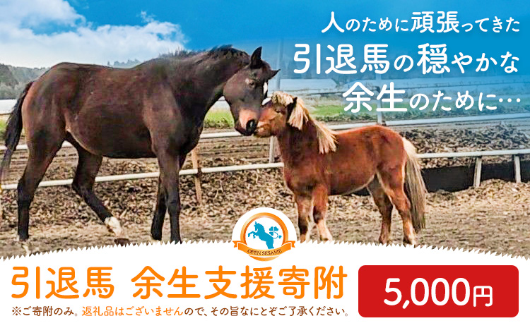【返礼品なし】引退馬余生支援寄附 5,000円 一般社団法人オープンセサミアライブ 熊本県 南阿蘇村 馬 ウマ 支援 競走馬 引退馬 生活支援 動物愛護 保護 返礼品なし 寄附 牧場 オープンセサミ アニマルサンクチュアリ---sms_opumasien_r7_5000---