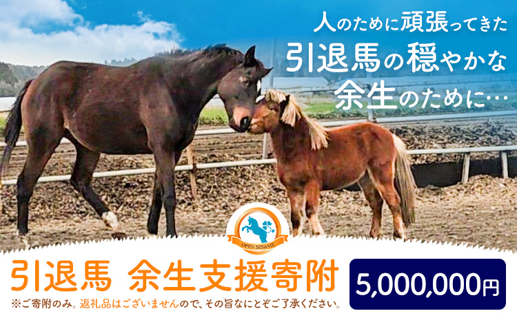 【返礼品なし】引退馬余生支援寄附 5,000,000円 一般社団法人オープンセサミアライブ 熊本県 南阿蘇村 馬 ウマ 支援 競走馬 引退馬 生活支援 動物愛護 保護 返礼品なし 寄附 牧場 オープンセサミ アニマルサンクチュアリ---sms_opumasien_r7_5000000---
