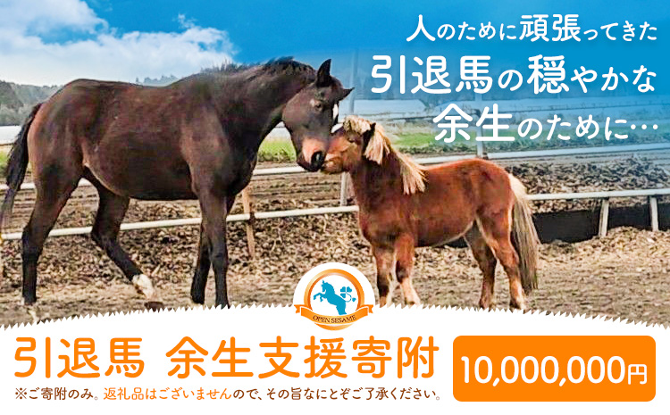 【返礼品なし】引退馬余生支援寄附 10,000,000円 一般社団法人オープンセサミアライブ 熊本県 南阿蘇村 馬 ウマ 支援 競走馬 引退馬 生活支援 動物愛護 保護 返礼品なし 寄附 牧場 オープンセサミ アニマルサンクチュアリ---sms_opumasien_r7_10000000---