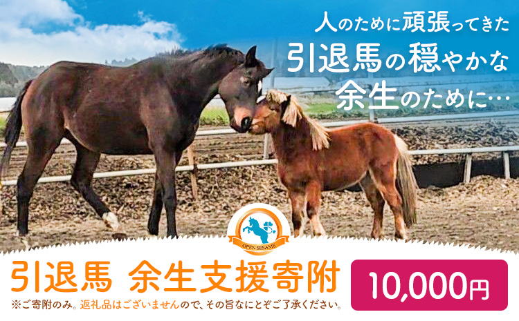 【返礼品なし】引退馬余生支援寄附 10,000円 一般社団法人オープンセサミアライブ 熊本県 南阿蘇村 馬 ウマ 支援 競走馬 引退馬 生活支援 動物愛護 保護 返礼品なし 寄附 牧場 オープンセサミ アニマルサンクチュアリ---sms_opumasien_r7_10000---