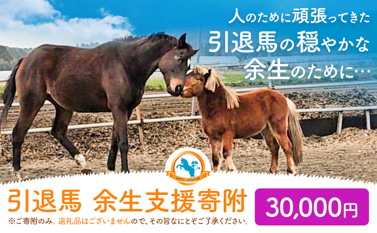 【返礼品なし】引退馬余生支援寄附 30,000円 一般社団法人オープンセサミアライブ 熊本県 南阿蘇村 馬 ウマ 支援 競走馬 引退馬 生活支援 動物愛護 保護 返礼品なし 寄附 牧場 オープンセサミ アニマルサンクチュアリ---sms_opumasien_r7_30000---