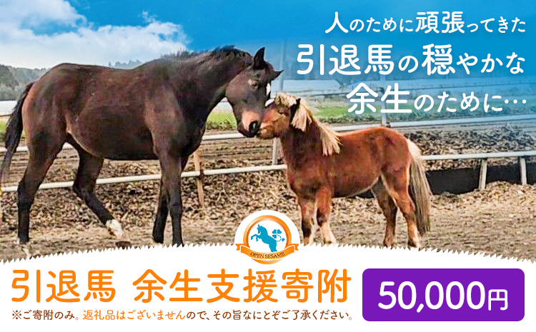 【返礼品なし】引退馬余生支援寄附 50,000円 一般社団法人オープンセサミアライブ 熊本県 南阿蘇村 馬 ウマ 支援 競走馬 引退馬 生活支援 動物愛護 保護 返礼品なし 寄附 牧場 オープンセサミ アニマルサンクチュアリ---sms_opumasien_r7_50000---