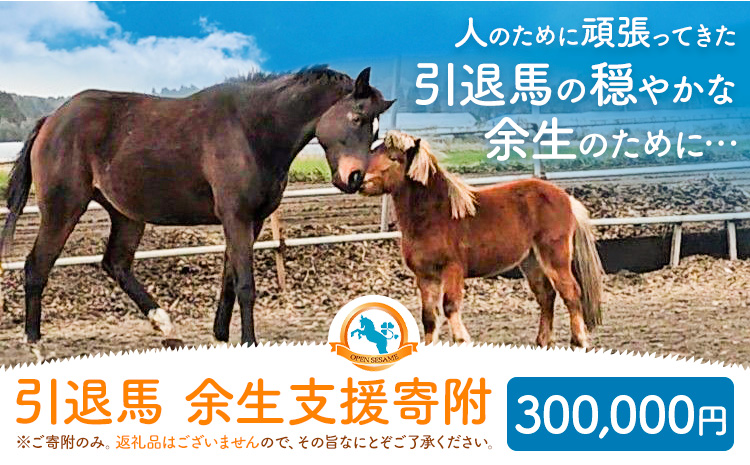 【返礼品なし】引退馬余生支援寄附 300,000円 一般社団法人オープンセサミアライブ 熊本県 南阿蘇村 馬 ウマ 支援 競走馬 引退馬 生活支援 動物愛護 保護 返礼品なし 寄附 牧場 オープンセサミ アニマルサンクチュアリ---sms_opumasien_r7_300000---