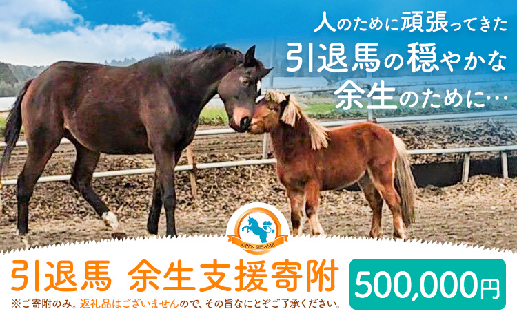【返礼品なし】引退馬余生支援寄附 500,000円 一般社団法人オープンセサミアライブ 熊本県 南阿蘇村 馬 ウマ 支援 競走馬 引退馬 生活支援 動物愛護 保護 返礼品なし 寄附 牧場 オープンセサミ アニマルサンクチュアリ---sms_opumasien_r7_500000---