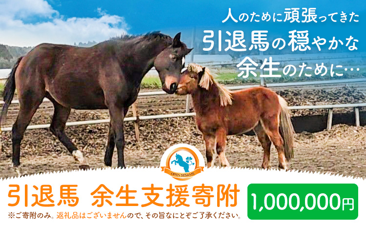 【返礼品なし】引退馬余生支援寄附 1,000,000円 一般社団法人オープンセサミアライブ 熊本県 南阿蘇村 馬 ウマ 支援 競走馬 引退馬 生活支援 動物愛護 保護 返礼品なし 寄附 牧場 オープンセサミ アニマルサンクチュアリ---sms_opumasien_r7_1000000---