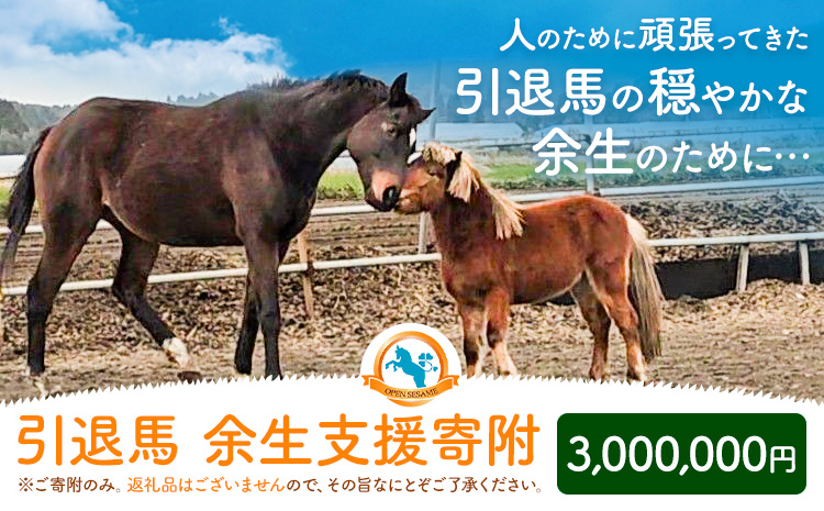 【返礼品なし】引退馬余生支援寄附 3,000,000円 一般社団法人オープンセサミアライブ 熊本県 南阿蘇村 馬 ウマ 支援 競走馬 引退馬 生活支援 動物愛護 保護 返礼品なし 寄附 牧場 オープンセサミ アニマルサンクチュアリ---sms_opumasien_r7_3000000---