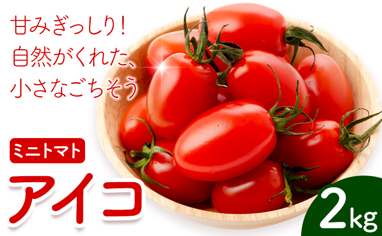 ミニトマト アイコ 約2kg ますだふぁーむ《7月上旬-11月末頃出荷》熊本県 南阿蘇村 アイコトマト 野菜 旬 夏野菜 トマト---sms_msf_af711_r7_11000_2kg---
