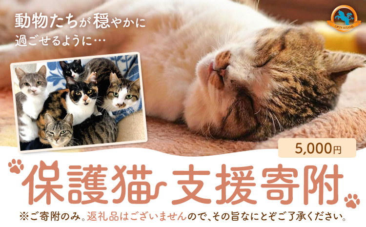 【返礼品なし】保護猫支援寄附 5,000円 一般社団法人オープンセサミアライブ 熊本県 南阿蘇村 保護猫 支援 猫 ネコ ねこ 生活支援 動物愛護 保護 返礼品なし 寄附 牧場 オープンセサミ アニマルサンクチュアリ---sms_opnekosien_r7_5000---