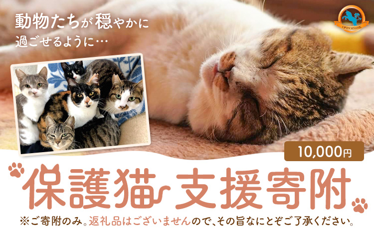 【返礼品なし】保護猫支援寄附 10,000円 一般社団法人オープンセサミアライブ 熊本県 南阿蘇村 保護猫 支援 猫 ネコ ねこ 生活支援 動物愛護 保護 返礼品なし 寄附 牧場 オープンセサミ アニマルサンクチュアリ---sms_opnekosien_r7_10000---