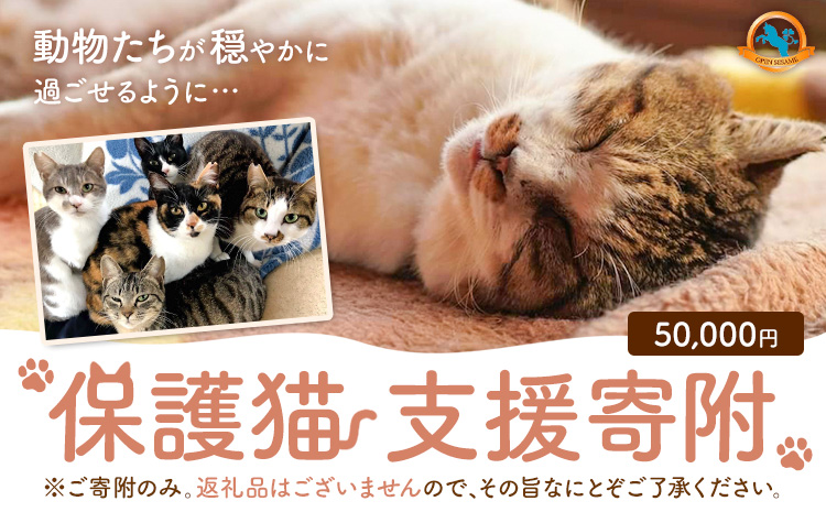 【返礼品なし】保護猫支援寄附 50,000円 一般社団法人オープンセサミアライブ 熊本県 南阿蘇村 保護猫 支援 猫 ネコ ねこ 生活支援 動物愛護 保護 返礼品なし 寄附 牧場 オープンセサミ アニマルサンクチュアリ---sms_opnekosien_r7_50000---