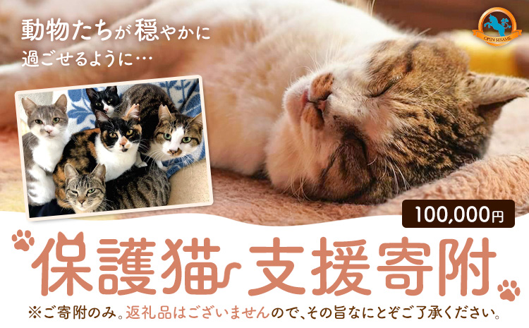【返礼品なし】保護猫支援寄附 100,000円 一般社団法人オープンセサミアライブ 熊本県 南阿蘇村 保護猫 支援 猫 ネコ ねこ 生活支援 動物愛護 保護 返礼品なし 寄附 牧場 オープンセサミ アニマルサンクチュアリ---sms_opnekosien_r7_100000---