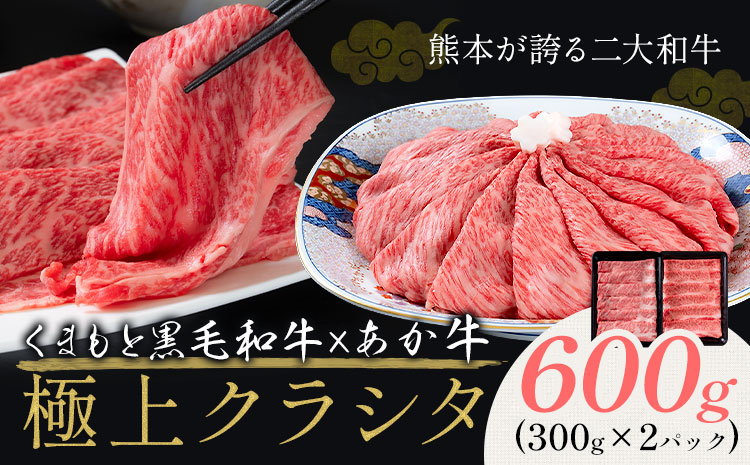 黒毛和牛 A4～A5等級 あか牛 クラシタ 食べ比べ 霜降り 赤身 すき焼き しゃぶしゃぶ 600g 数量限定 牛肉 冷凍 くまもと黒毛和牛 《10月上旬-12月末頃出荷》 冷凍庫 個別 以内 ブランド牛 赤身 霜降り お歳暮---mna_fakkmst_ac1012_r7_12000_600g---