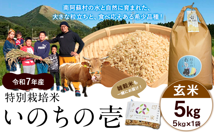 令和7年産 米 いのちの壱(玄米)5kg 雑穀米 付き《60日以内に出荷予定(土日祝除く)》熊本県 南阿蘇村 南阿蘇 虹色のかば---sms_inci6_60d_r7_16000_g5kg---