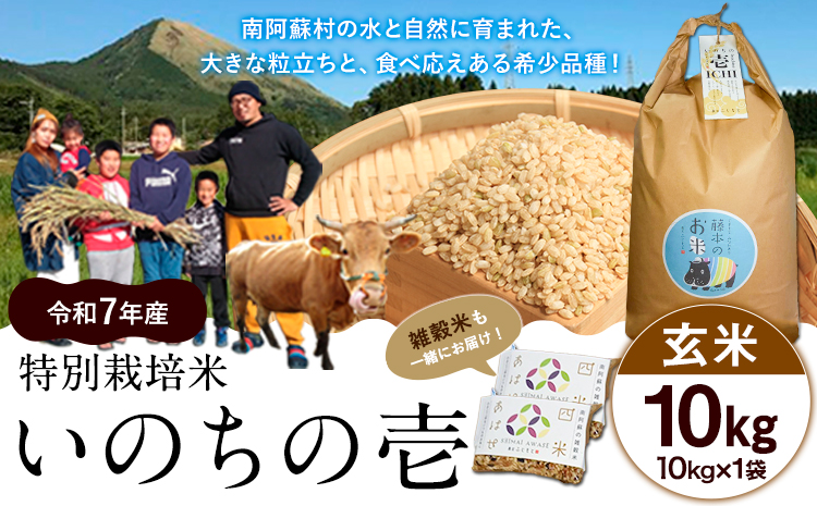 令和7年産 米 いのちの壱(玄米)10kg×1 雑穀米 付《60日以内に出荷予定(土日祝除く)》熊本県 南阿蘇村 南阿蘇 虹色のかば---sms_inci6_60d_r7_30000_g10kg---