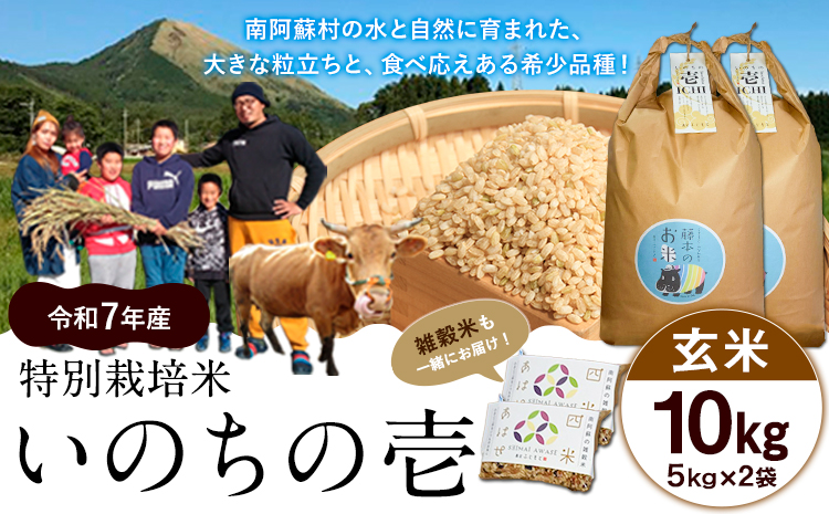 令和7年産 米 いのちの壱(玄米) 10kg 5kg×2 雑穀米 付《60日以内に出荷予定(土日祝除く)》熊本県 南阿蘇村 南阿蘇 虹色のかば---sms_inci6_60d_r7_30000_g10kg2---