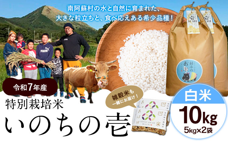 令和7年産 米 いのちの壱(白米) 10kg(5kg×2袋)  雑穀付《60日以内に出荷予定(土日祝除く)》熊本県 南阿蘇村 南阿蘇 虹色のかば---sms_inci6_60d_r7_33500_h10kg2---