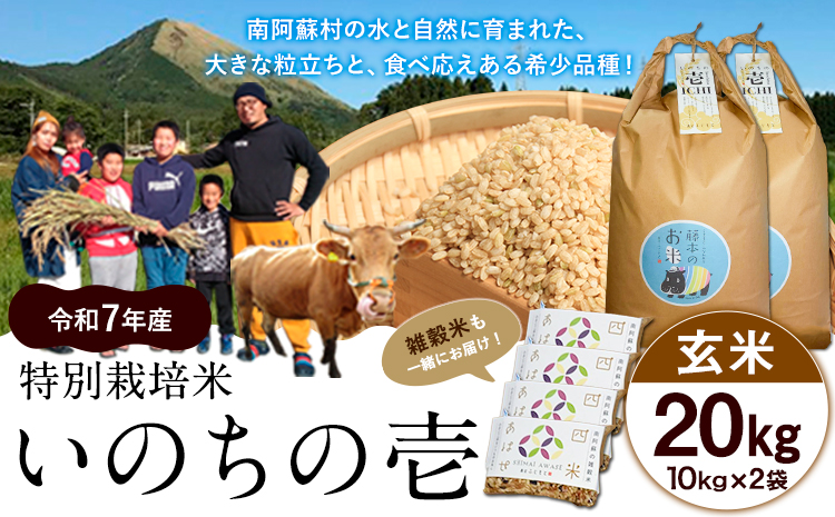 令和7年産 米 いのちの壱(玄米) 20kg 10kg×2 雑穀付《60日以内に出荷予定(土日祝除く)》熊本県 南阿蘇村 南阿蘇 虹色のかば---sms_inci6_60d_r7_60000_20kg---
