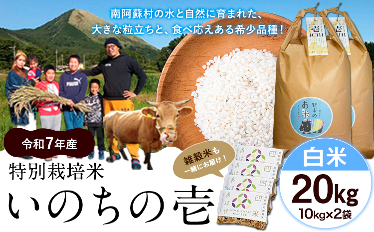 令和7年産 米 いのちの壱(白米) 20kg(10kg×2袋) 雑穀付《60日以内に出荷予定(土日祝除く)》熊本県 南阿蘇村 南阿蘇 虹色のかば---sms_inci6_60d_r7_67000_20kg---