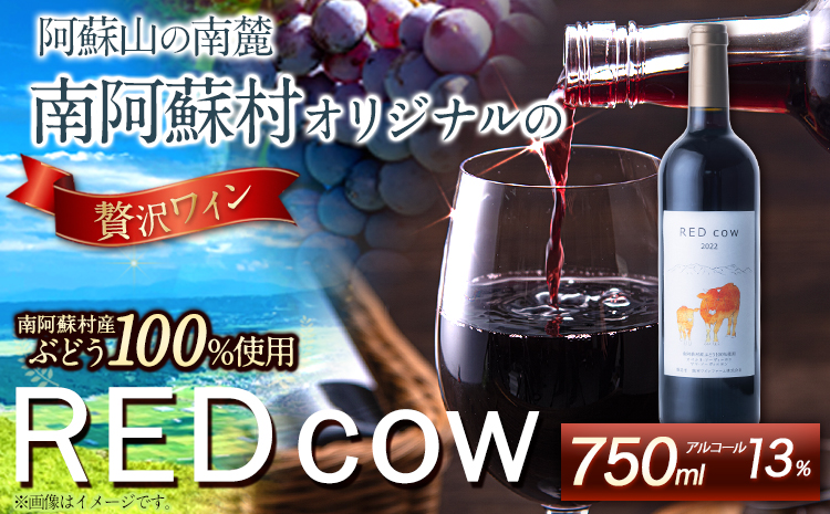 南阿蘇村産ぶどう100%使用 赤 ワイン RED cow 1本 750ml《30日以内に出荷予定(土日祝除く)》熊本県 南阿蘇村---sms_winecow_30d_r7_13000_750ml---