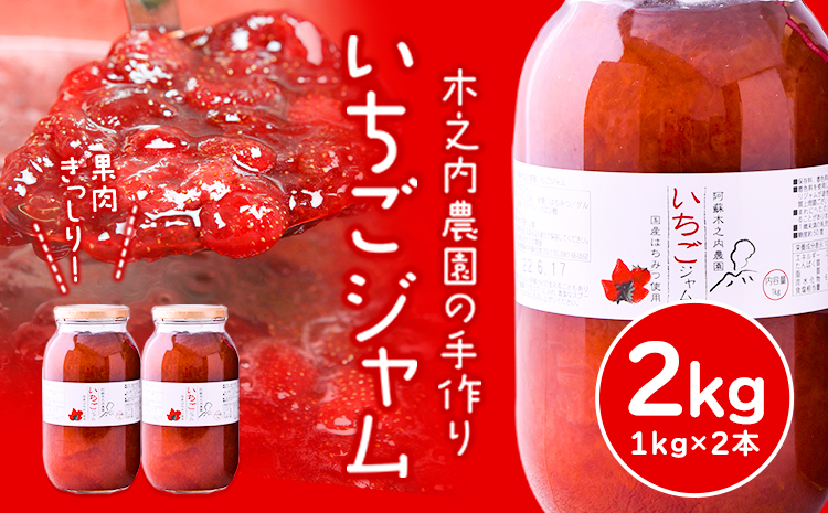 果実ぎっしり！木之内農園の手作りいちごジャム 2kg《30日以内に出荷予定(土日祝除く)》いちご ---isms_kinonsb_30d_r7_15500_2kg---