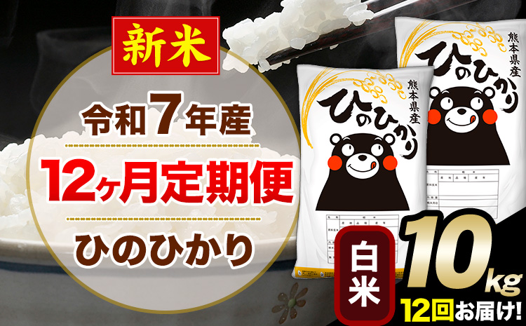 新米 令和7年産【12ヶ月定期便】 白米 ひのひかり 10kg 5kg×2袋《お申し込みの翌月から出荷》熊本県産 単一原料米 南阿蘇村 ひのひかり 送料無料 熊本県 米 コメ こめ 国産---hn7tei_294000_10kg_mo12_mna_h---