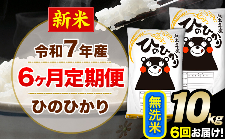 新米 令和7年産 【6ヶ月定期便】 無洗米 ひのひかり 10kg 5kg×2袋《お申し込みの翌月から出荷》熊本県産 単一原料米 南阿蘇村 ひのひかり 送料無料 熊本県 米 コメ こめ 国産---hn7tei_147000_10kg_mo6_mna_m---