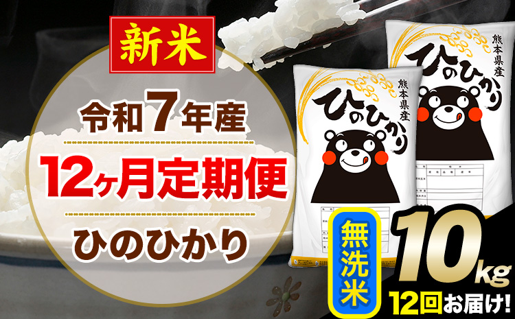 新米 令和7年産 【12ヶ月定期便】 無洗米 ひのひかり 10kg 5kg×2袋《お申し込みの翌月から出荷》熊本県産 単一原料米 南阿蘇村 ひのひかり 送料無料 熊本県 米 コメ こめ 国産---hn7tei_294000_10kg_mo12_mna_m---