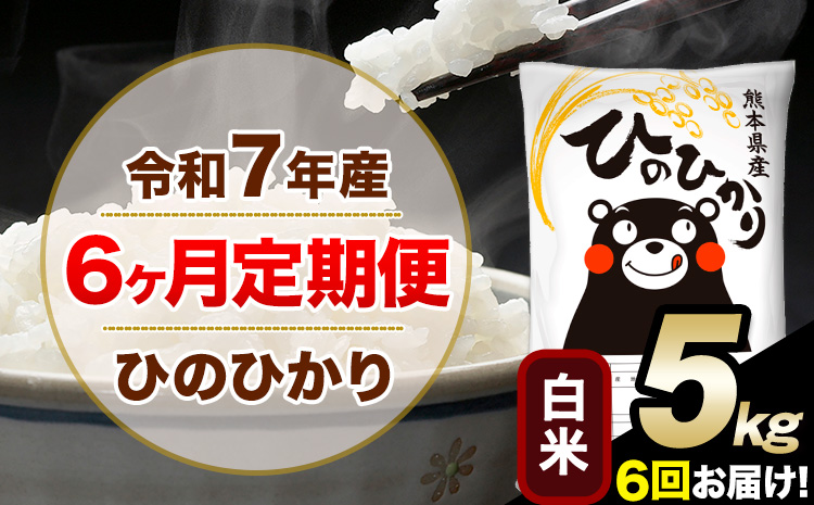 令和7年産【6ヶ月定期便】白米 ひのひかり 5kg 5kg×1袋《お申し込みの翌月から出荷》熊本県産 単一原料米 南阿蘇村 ひのひかり 送料無料 熊本県 米 コメ こめ 国産---hn7tei_69000_5kg_mo6_mna_h---