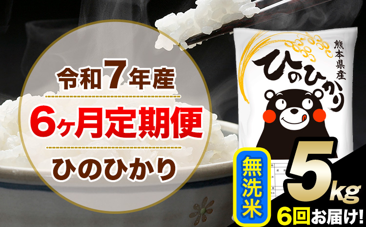 令和7年産【6ヶ月定期便】無洗米 ひのひかり 5kg 5kg×1袋《お申し込みの翌月から出荷》熊本県産 単一原料米 南阿蘇村 ひのひかり 送料無料 熊本県 米 コメ こめ 国産---hn7tei_69000_5kg_mo6_mna_m---