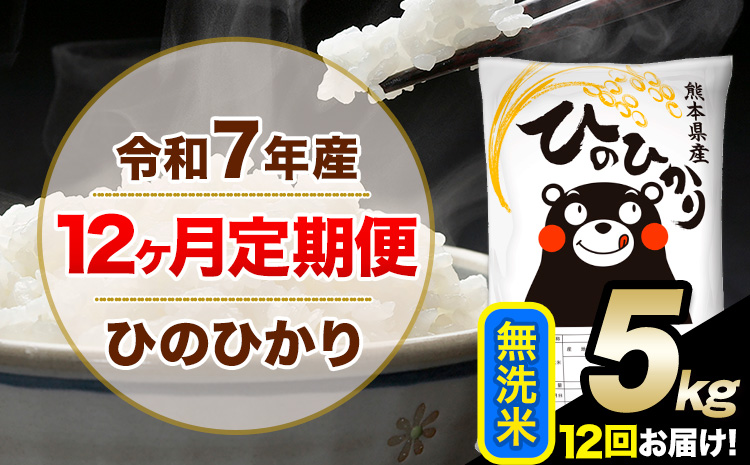 令和7年産【12ヶ月定期便】 無洗米 ひのひかり 5kg 5kg×1袋《お申し込みの翌月から出荷》熊本県産 単一原料米 南阿蘇村 ひのひかり 送料無料 熊本県 米 コメ こめ 国産---hn7tei_138000_5kg_mo12_mna_m---