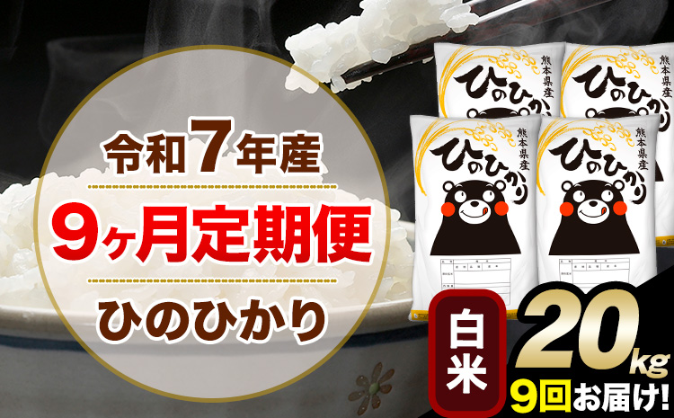 令和7年産 白米 【9ヶ月定期便】 ひのひかり 20kg《お申込月の翌月から出荷開始》 白米 精米 熊本県産(南阿蘇村産含む) 単一原料米 南阿蘇村 ひの 送料無料 熊本県 SDGs むせんまい 米 コメ こめ 国産 定期便---hn7tei_436500_20kg_mo9_mna_h---