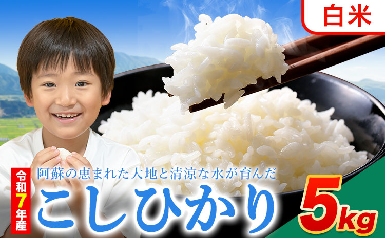 令和7年産 こしひかり 白米  5kg白米 精米 熊本県産(南阿蘇村産含む) 単一原料米 南阿蘇村《7-14日以内に出荷予定(土日祝除く)》---mna_kh7_wx_11500_5kg_h---