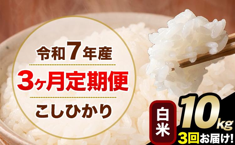 【3ヶ月定期便】令和7年産 定期便 こしひかり 白米 定期便 10kg 精米 熊本県産(南阿蘇村産含む) 単一原料米 南阿蘇村《お申し込みの翌月から出荷》---kh7tei_66000_10kg_mo3_mna_h---