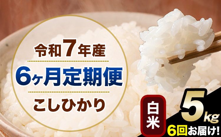 【6ヶ月定期便】令和7年産 定期便 こしひかり 白米 定期便 5kg 精米 熊本県産(南阿蘇村産含む) 単一原料米 南阿蘇村《お申し込みの翌月から出荷》---kh7tei_69000_5kg_mo6_mna_h---