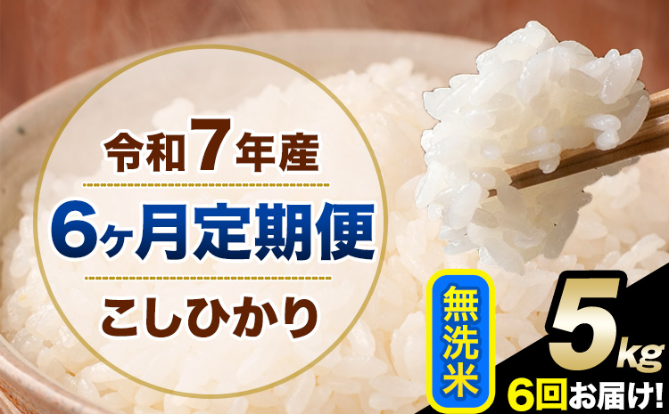 【6ヶ月定期便】令和7年産 定期便 こしひかり 無洗米 定期便 5kg 精米 熊本県産(南阿蘇村産含む) 単一原料米 南阿蘇村《お申し込みの翌月から出荷》---kh7tei_69000_5kg_mo6_mna_m---