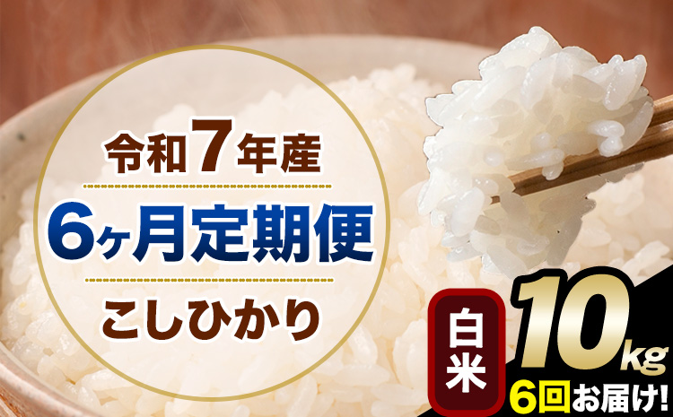 【6ヶ月定期便】令和7年産 定期便 こしひかり 白米 定期便 10kg 精米 熊本県産(南阿蘇村産含む) 単一原料米 南阿蘇村《お申し込みの翌月から出荷》---kh7tei_132000_10kg_mo6_mna_h---