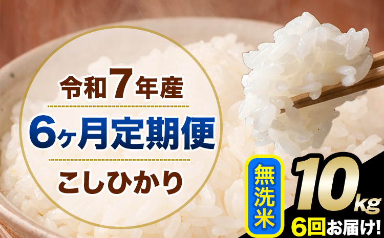 【6ヶ月定期便】令和7年産 定期便 こしひかり 無洗米 定期便 10kg 精米 熊本県産(南阿蘇村産含む) 単一原料米 南阿蘇村《お申し込みの翌月から出荷》---kh7tei_132000_10kg_mo6_mna_m---
