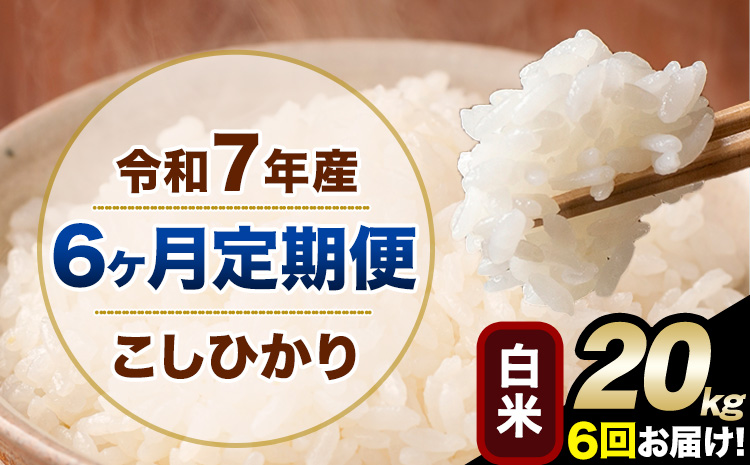 【6ヶ月定期便】令和7年産 定期便 こしひかり 白米 定期便 20kg 精米 熊本県産(南阿蘇村産含む) 単一原料米 南阿蘇村《お申し込みの翌月から出荷》---kh7tei_258000_20kg_mo6_mna_h---