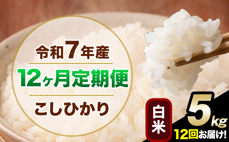 【12ヶ月定期便】令和7年産 定期便 こしひかり 白米 定期便 5kg 精米 熊本県産(南阿蘇村産含む) 単一原料米 南阿蘇村《お申し込みの翌月から出荷》---kh7tei_138000_5kg_mo12_mna_h---