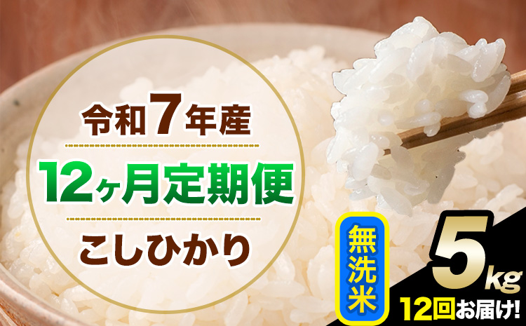【12ヶ月定期便】令和7年産 定期便 こしひかり 無洗米 定期便 5kg 精米 熊本県産(南阿蘇村産含む) 単一原料米 南阿蘇村《お申し込みの翌月から出荷》---kh7tei_138000_5kg_mo12_mna_m---