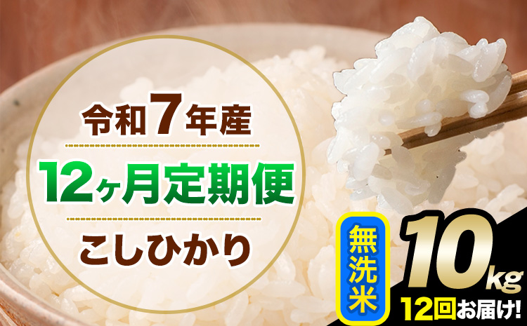 【12ヶ月定期便】令和7年産 定期便 こしひかり 無洗米 定期便 10kg 精米 熊本県産(南阿蘇村産含む) 単一原料米 南阿蘇村《お申し込みの翌月から出荷》---kh7tei_264000_10kg_mo12_mna_m---