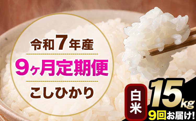 令和7年産 【9ヶ月定期便】 こしひかり 15kg 白米 精米 熊本県産(南阿蘇村産含む) 単一原料米 南阿蘇村 産 米 定期便《お申込月の翌月から出荷開始》---kh7tei_328500_15kg_mo9_mna_h---