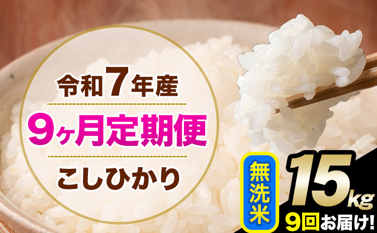令和7年産 【9ヶ月定期便】 こしひかり 15kg 無洗米 熊本県産(南阿蘇村産含む) 単一原料米 南阿蘇村 産 米 定期便《お申込月の翌月から出荷開始》---kh7tei_328500_15kg_mo9_mna_m---