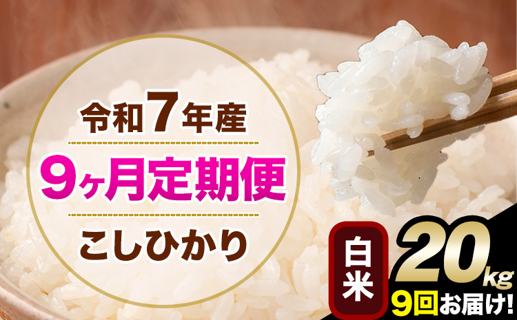 令和7年産 【9ヶ月定期便】 こしひかり 20kg 白米 精米 熊本県産(南阿蘇村産含む) 単一原料米 南阿蘇村 産 米 定期便《お申込月の翌月から出荷開始》---kh7tei_436500_20kg_mo9_mna_h---