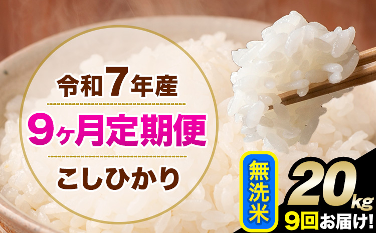 令和7年産 【9ヶ月定期便】 こしひかり 20kg 無洗米 熊本県産(南阿蘇村産含む) 単一原料米 南阿蘇村 産 米 定期便《お申込月の翌月から出荷開始》---kh7tei_436500_20kg_mo9_mna_m---