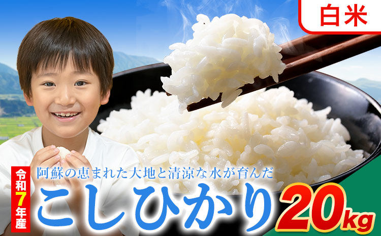 令和7年産 こしひかり 白米  20kg白米 精米 熊本県産(南阿蘇村産含む) 単一原料米 南阿蘇村《7-14日以内に出荷予定(土日祝除く)》---mna_kh7_wx_43000_20kg_h---