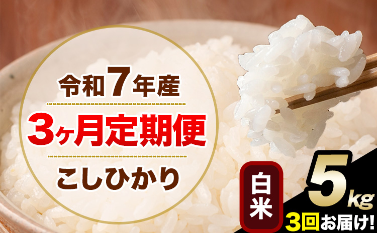 【3ヶ月定期便】令和7年産 定期便 こしひかり 白米 定期便 5kg 精米 熊本県産(南阿蘇村産含む) 単一原料米 南阿蘇村《お申し込みの翌月から出荷》---kh7tei_37500_5kg_mo3_mna_h---