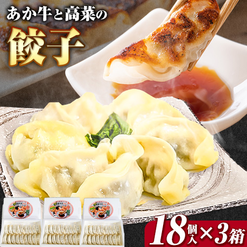 あか牛と高菜の餃子 18個入り×3箱 南阿蘇物産センター《30日以内に出荷予定(土日祝除く)》---sms_fautkngz_30d_r7_13500_46p---